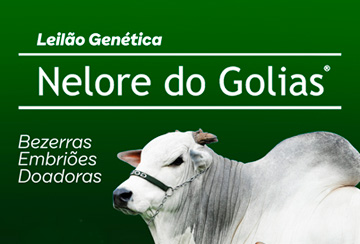 LEILÃO GENÉTICA NELORE DO GOLIAS