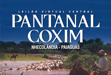 LEILÃO VIRTUAL CENTRAL PANTANAL COXIM