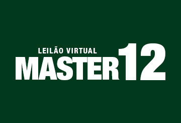 LEILÃO VIRTUAL MASTER 12