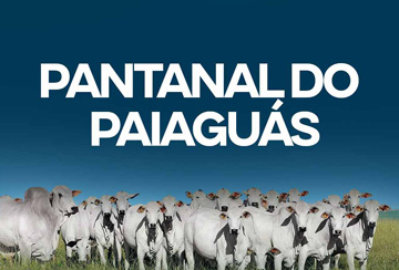 LEILÃO VIRTUAL PANTANAL DO PAIAGUÁS
