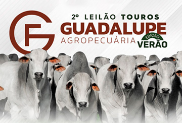 2º LEILÃO TOUROS GUADALUPE AGROPECUÁRIA - EDIÇÃO VERÃO