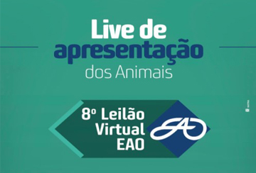 LIVE DE APRESENTAÇÃO DOS ANIMAIS DO 8º LEILÃO VIRTUAL EAO