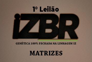 1º LEILÃO IZBR - MATRIZES