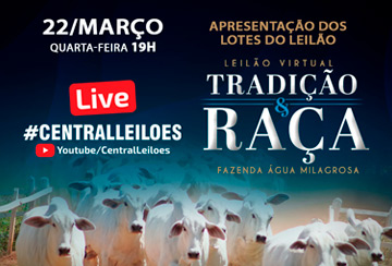 LIVE - LEILÃO TRADIÇÃO & RAÇA - FAZENDA ÁGUA MILAGROSA