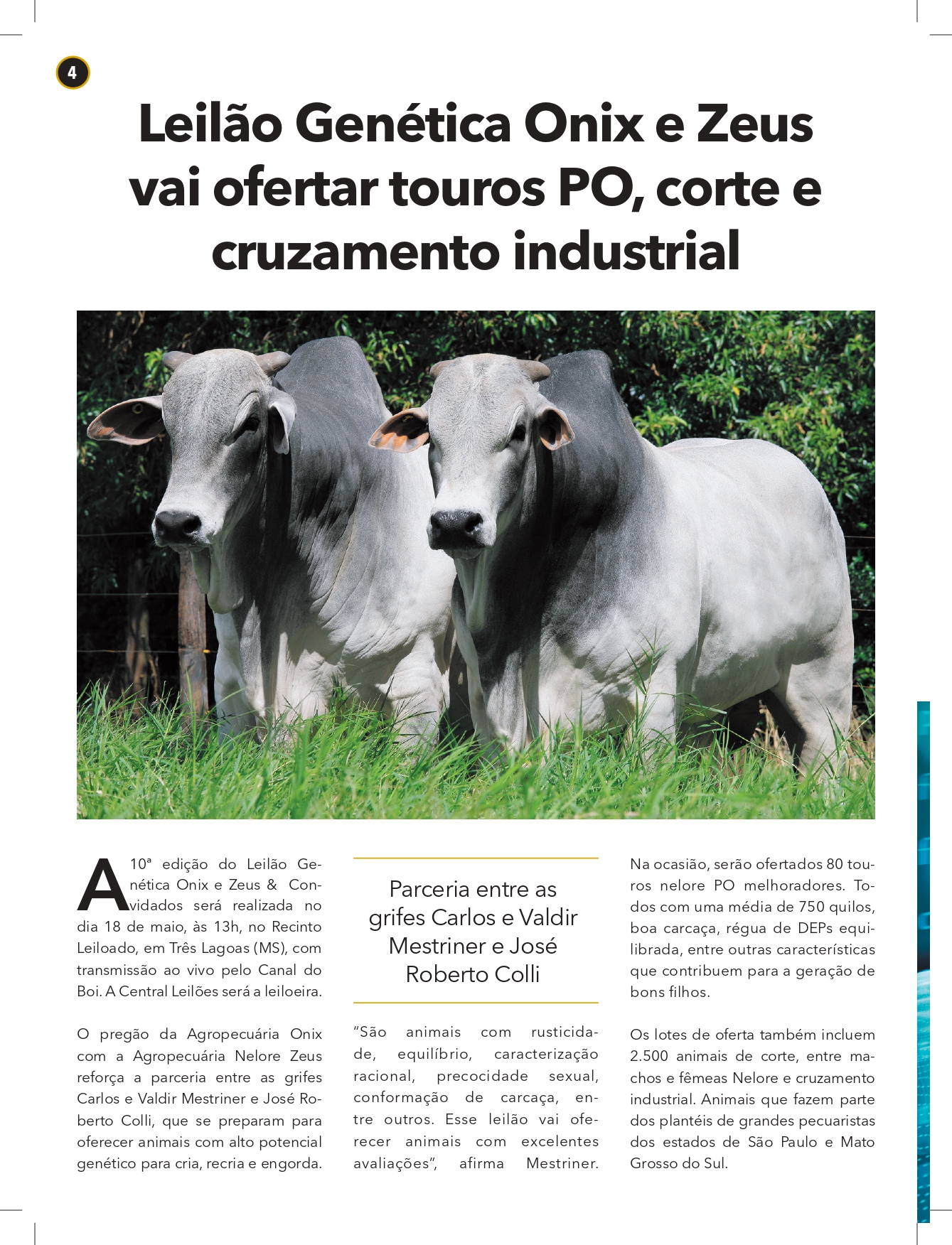 6o. Leilão Xeque-Mate by Attualità Agronegócios - Issuu