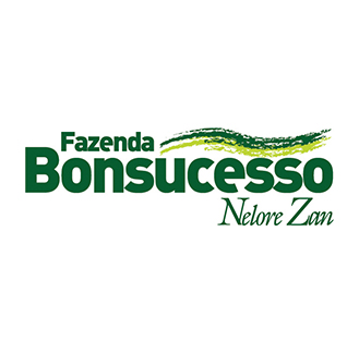 Fazenda Bonsucesso - Nelore Zan