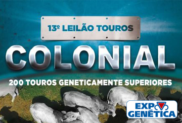 13º LEILÃO TOUROS MELHORADORES COLONIAL