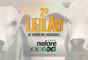2º LEILÃO DE TOUROS MELHORADORES GRUPO NELORE 4X4
