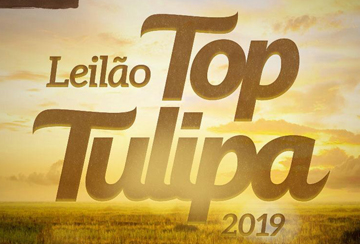 LEILÃO TOP TULIPA 2019