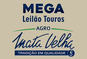 MEGA LEILÃO TOUROS AGRO MATA VELHA