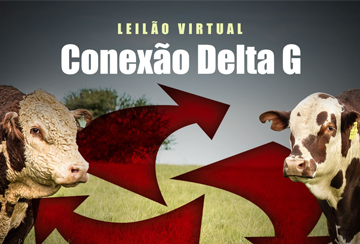 LEILÃO VIRTUAL CONEXÃO DELTA G