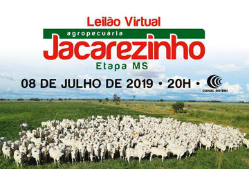 LEILÃO VIRTUAL AGROPECUÁRIA JACAREZINHO - ETAPA MS