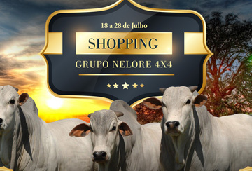 SHOPPING GRUPO NELORE 4X4