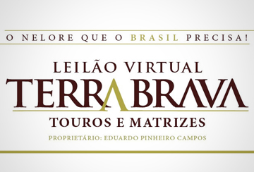LEILÃO VIRTUAL TERRA BRAVA - TOUROS E MATRIZES