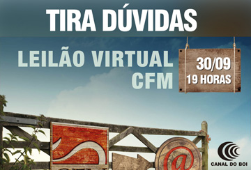 TIRA DÚVIDAS - LEILÃO VIRTUAL CFM BULLTRADE