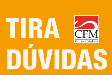 TIRA DÚVIDAS - MEGALEILÃO CFM 2019