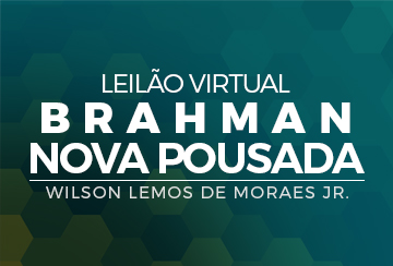 LEILÃO VIRTUAL BRAHMAN NOVA POUSADA