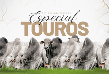 19º LEILÃO VIRTUAL ESPECIAL DE TOUROS