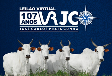 LEILÃO VIRTUAL VRJC 107 ANOS