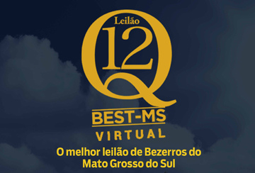 LEILÃO VIRTUAL Q12 - BEST/MS