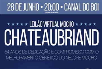 LEILÃO VIRTUAL MOCHO CHATEAUBRIAND