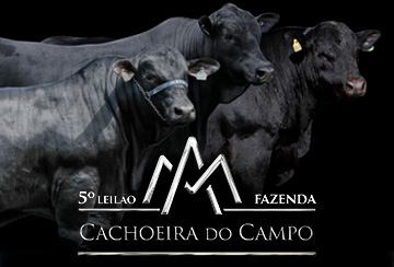 5º LEILÃO FAZENDA CACHOEIRA DO CAMPO