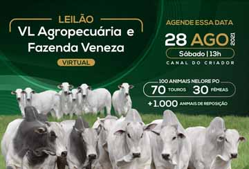 LEILÃO VIRTUAL VL AGROPECUÁRIA E FAZENDA VENEZA