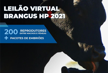 LEILÃO VIRTUAL BRANGUS HP 2021