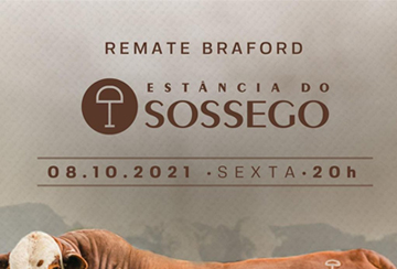 REMATE BRAFORD ESTÂNCIA DO SOSSEGO