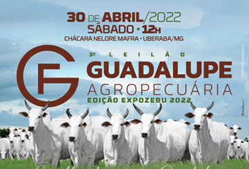 LEILÃO GUADALUPE AGROPECUÁRIA EDIÇÃO EXPOZEBU 2022