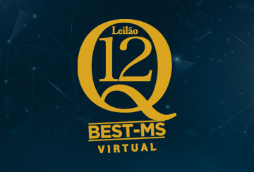 LEILÃO VIRTUAL Q12