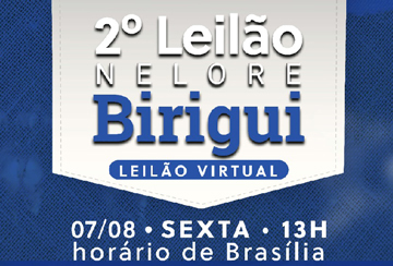 2º LEILÃO VIRTUAL NELORE BIRIGUI - DE OLHO NA FAZENDA DE 03/08 A 06/08