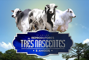 II LEILÃO REPRODUTORES TRÊS NASCENTES & AMIGOS