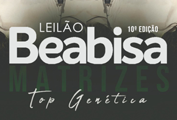 LEILÃO BEABISA - MATRIZES TOP GENÉTICA - 10ª EDIÇÃO