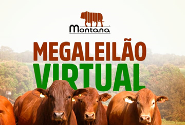 MEGA LEILÃO VIRTUAL MONTANA