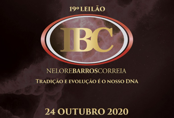 19º LEILÃO IBC - NELORE BARROS CORREIA