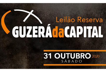 LEILÃO RESERVA GUZERÁ DA CAPITAL