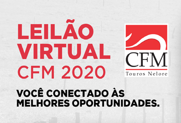 LEILÃO VIRTUAL CFM 2020