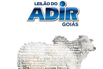 LEILÃO DO ADIR - GOIÁS