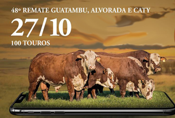48º REMATE GUATAMBU, ALVORADA E CATY