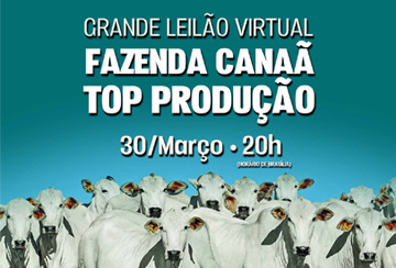 GRANDE LEILÃO VIRTUAL FAZENDA CANAÃ TOP PRODUÇÃO