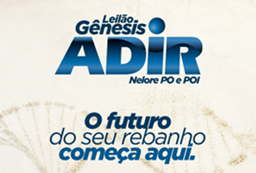 LEILÃO GÊNESIS ADIR