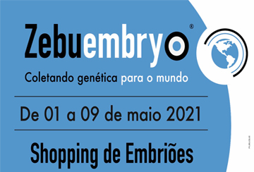 SHOPPING DE EMBRIÕES ZEBUEMBRYO (DE 01 A 09/05)