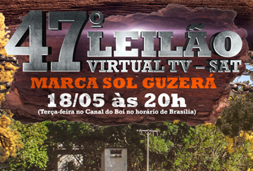 47º LEILÃO VIRTUAL TV-SAT MARCA SOL GUZERÁ