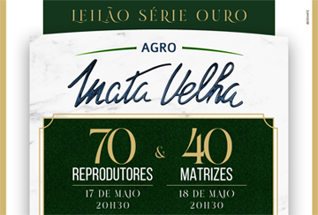 LEILÃO SÉRIE OURO AGRO MATA VELHA - MATRIZES