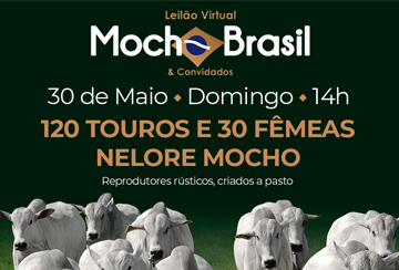 LEILÃO VIRTUAL MOCHO BRASIL & CONVIDADOS
