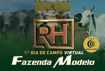 11º DIA DE CAMPO VIRTUAL FAZENDA MODELO - GUTO GRASSANO