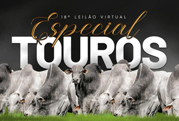 18º LEILÃO VIRTUAL ESPECIAL DE TOUROS