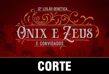 12º LEILÃO GENÉTICA ONIX E ZEUS E CONVIDADOS - CORTE