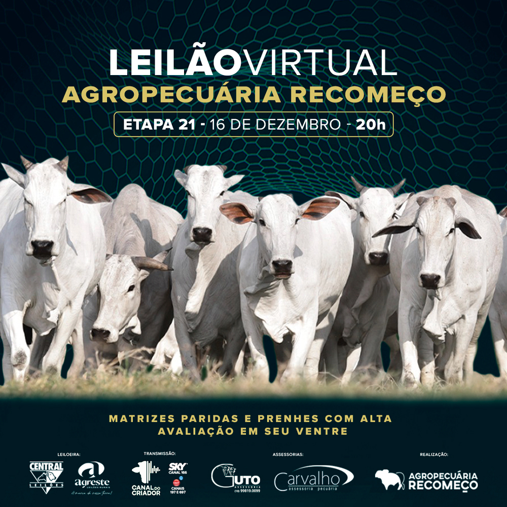 LEILÃO VIRTUAL AGROPECUÁRIA RECOMEÇO - ETAPA 21